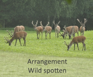 Arrangement Wild spotten 